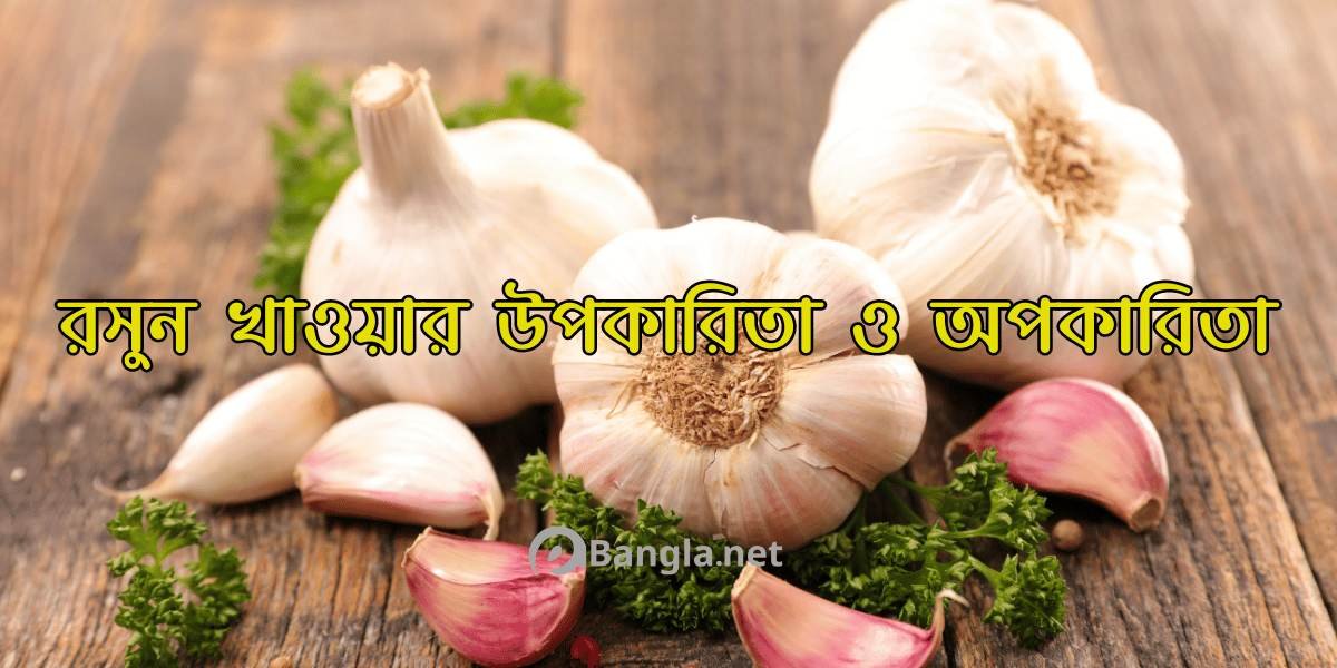 রসুন খাওয়ার উপকারিতা ও অপকারিতা