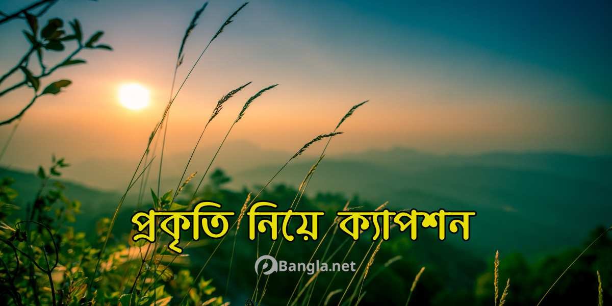 সেরা প্রকৃতি নিয়ে ক্যাপশন, উক্তি