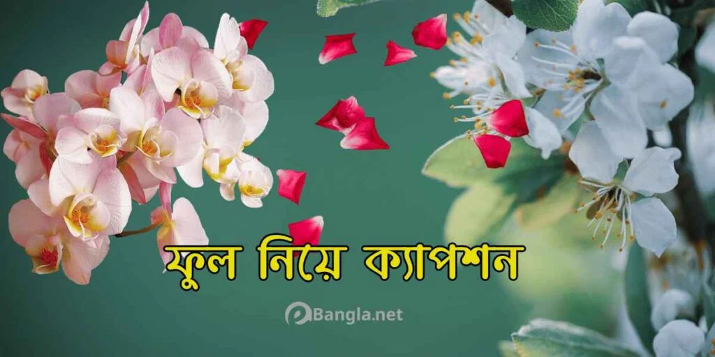 ফুল নিয়ে ক্যাপশন, ফেসবুক স্ট্যাটাস