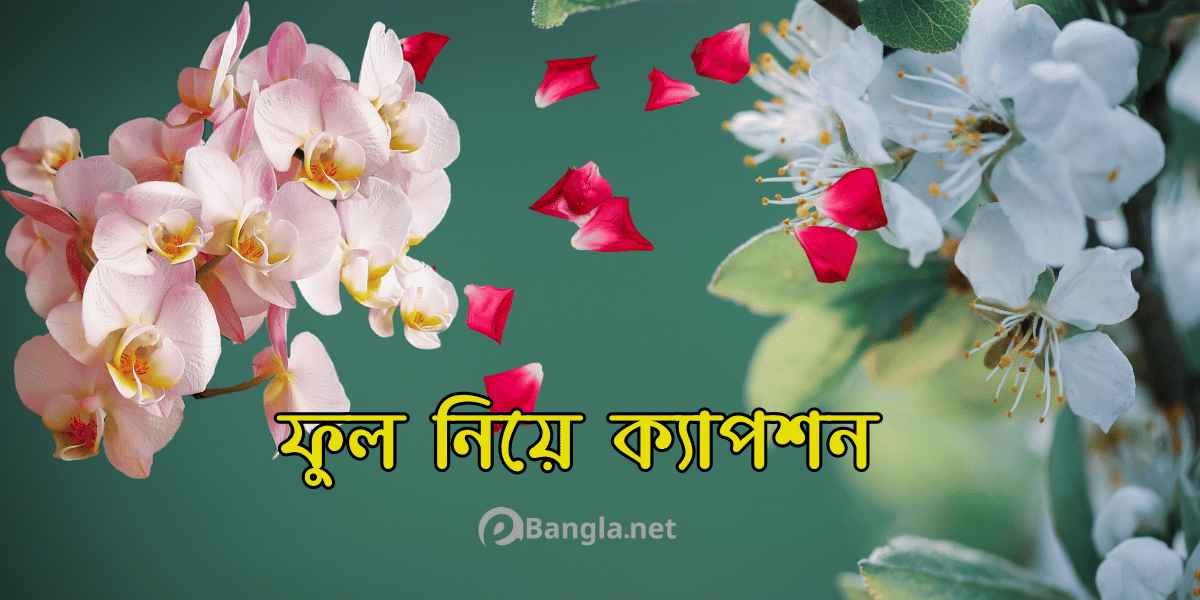 ফুল নিয়ে ক্যাপশন